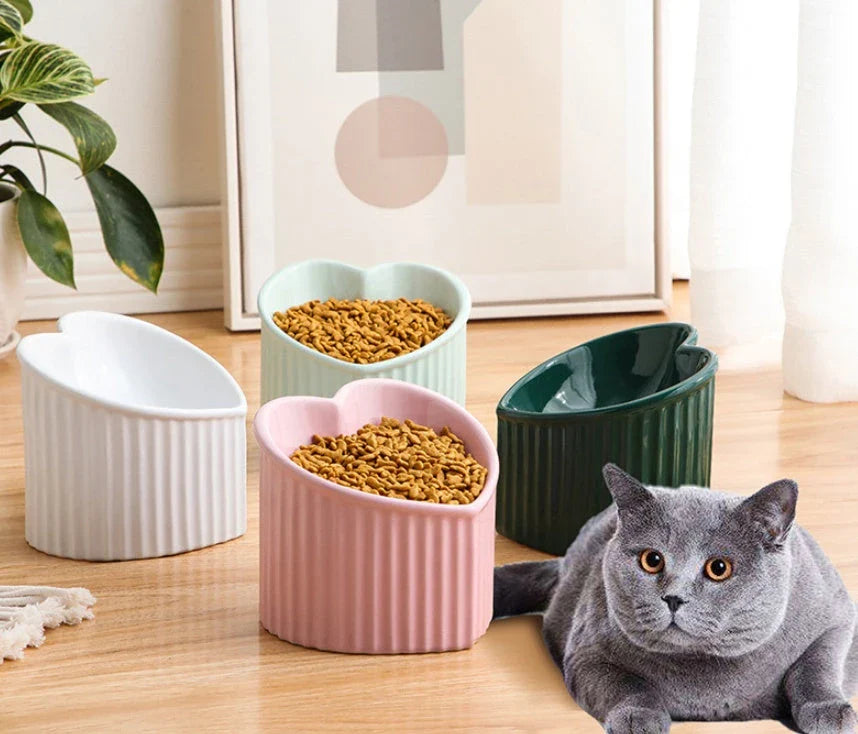 Elevated Ceramic Pet Bowl with Angled Design for Comfortable and Hygienic Feeding