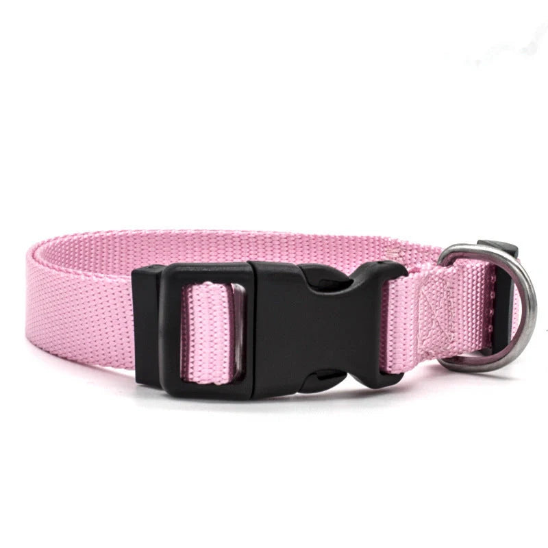 Adjustable nylon pet collar for cats and dogs with neoprene lining, available in multiple colors and sizes