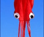 Captivating 4-meter Octopus Kite with vibrant colors and streamlined design for impressive aerial displays.