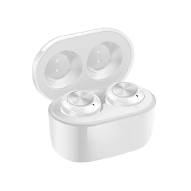 Black and white A6 true wireless Bluetooth 5.0 earbuds with charging case.