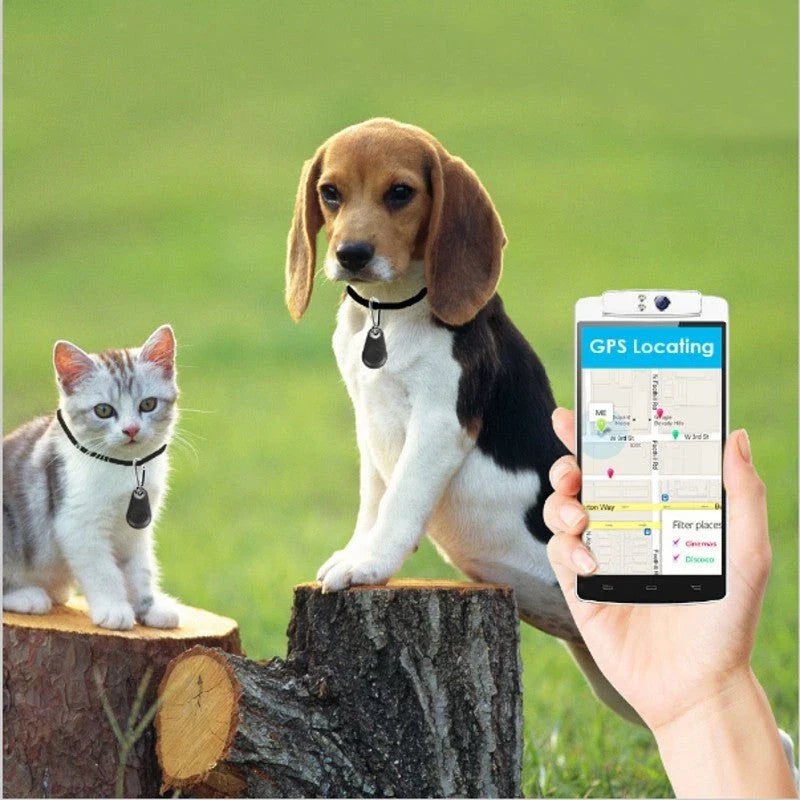 Compact Bluetooth tracking tag with smartphone app to find lost keys, wallet, pets and other valuable items