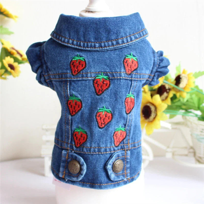 Stylish denim dog jacket with customizable options like hoods, fringes, and patterns for fashionable pet wear