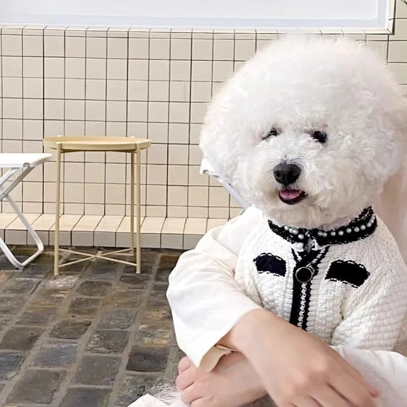 White Korean-style puppy sweater with a pearl collar on a small dog, showing the princess style design.