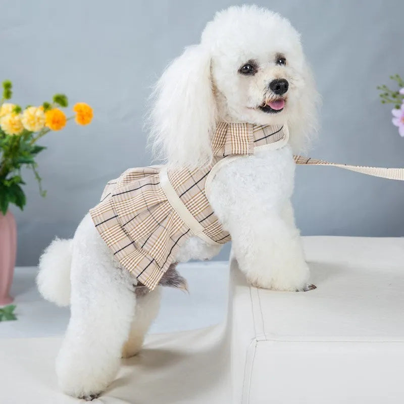 Dog wearing chest strap vest harness with attached leash in milky white or purple colour