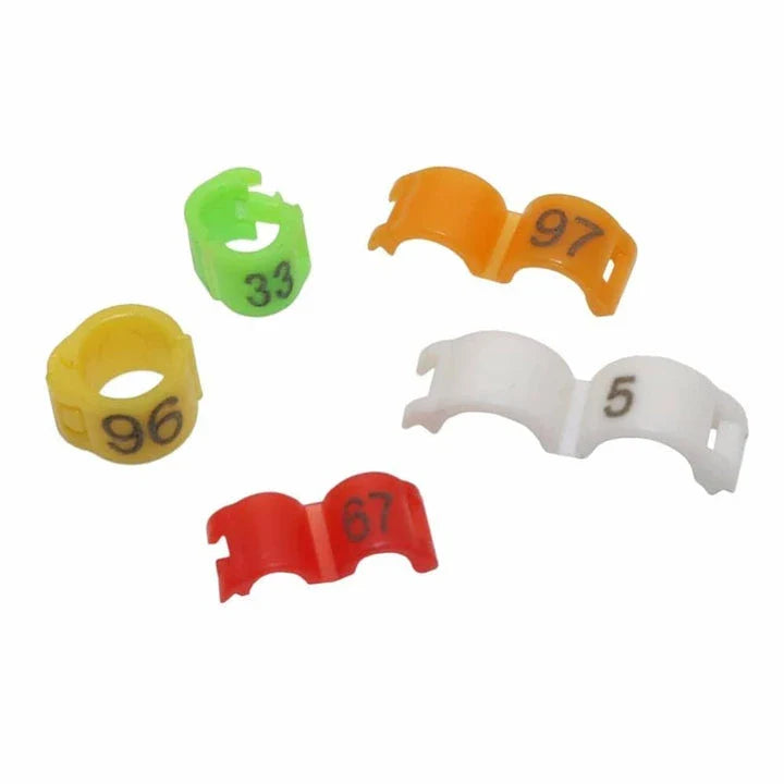 Colorful plastic clip rings in various sizes for attaching to bird's legs