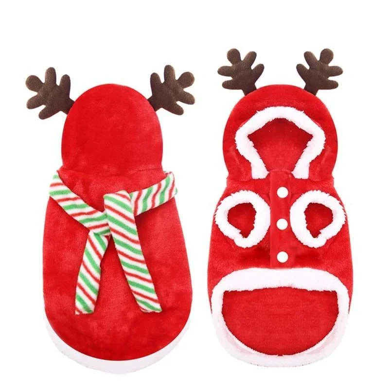 Cozy Canine Couture: Premium pet clothing collection featuring stylish and comfortable designs for your furry friend