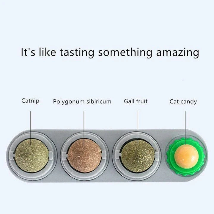 A kit containing all-natural catnip for interactive playtime and stimulation for cats