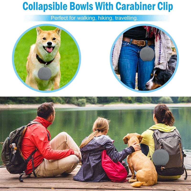 Spill-Proof Foldable Double Pet Bowls with Non-Skid Silicone Base for Food and Water