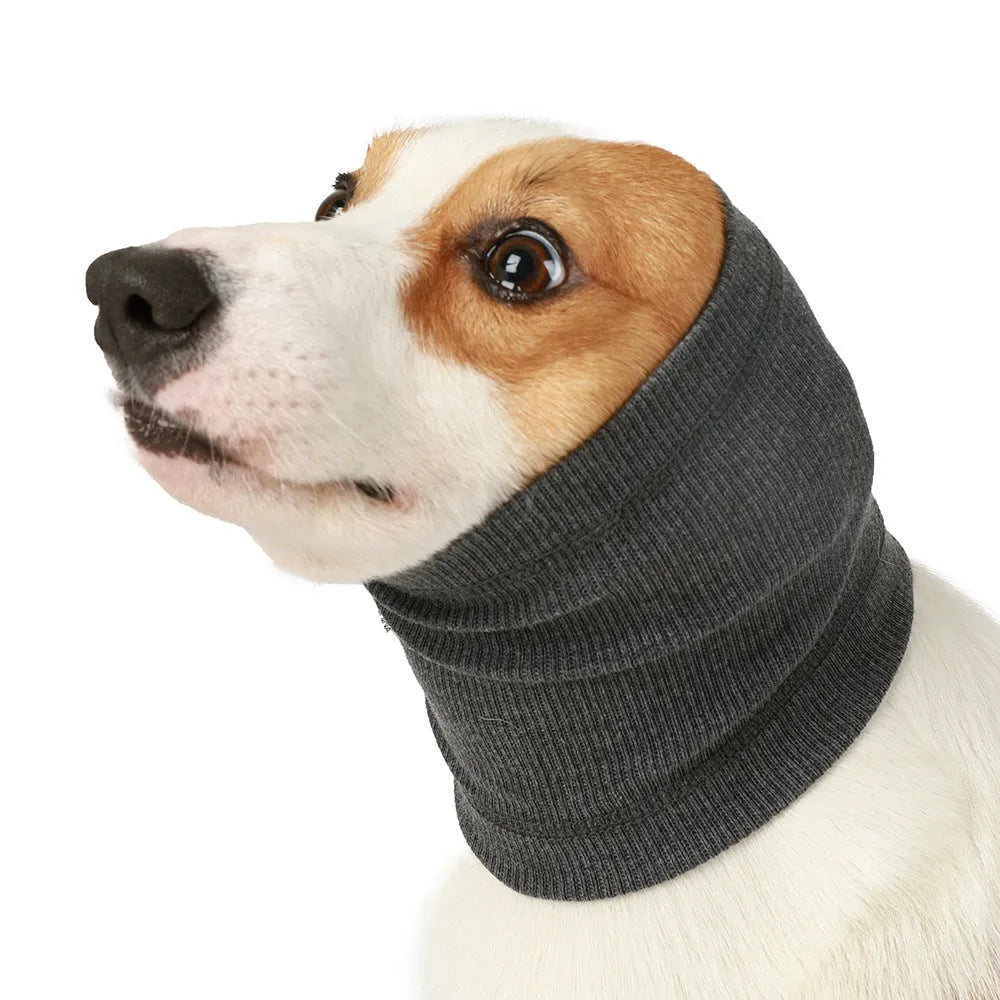 A blue polyester headband scarf for a dog, shown on a medium-sized breed.