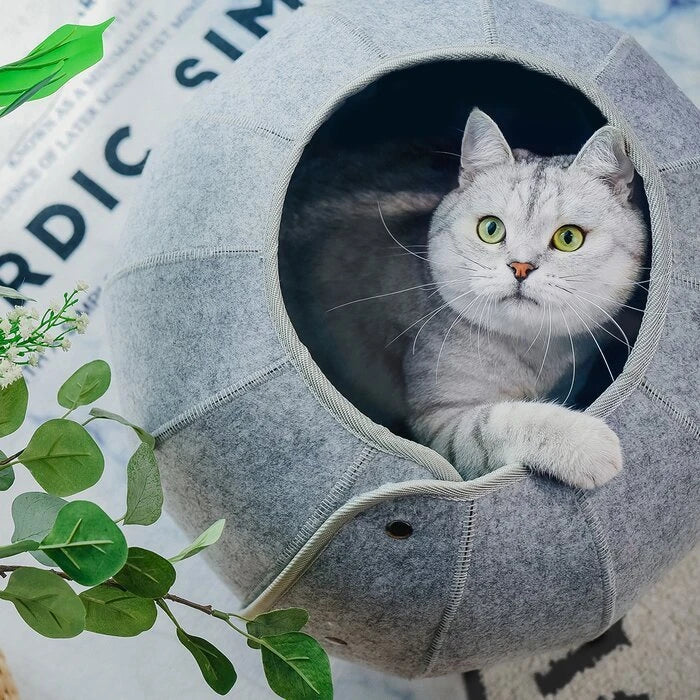 Cozy Cat Cave: Foldable Tunnel Bed for Interactive Playtime