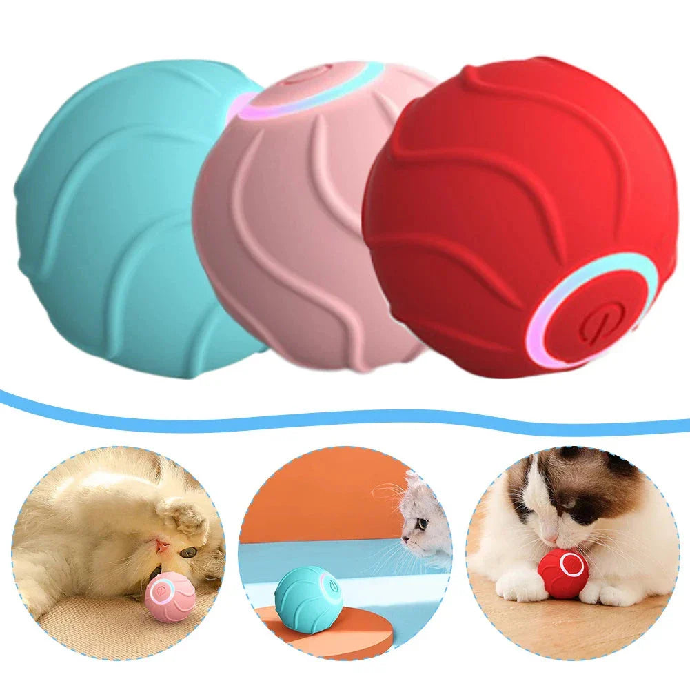 Automatic self-rolling interactive cat toy ball in blue, red, and pink colors with USB charging and bouncing action to engage cats