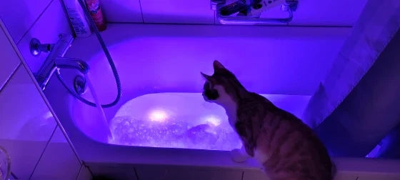 Submersible pool lights with color changing magnetic LED technology for backyard pool parties and relaxation