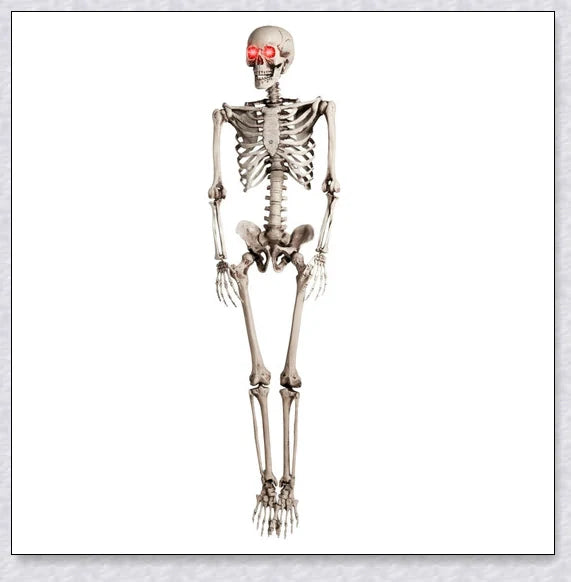 Lifelike 5-foot Halloween skeleton decoration with realistic bone-like finish and flexible joints for customizable spooky poses