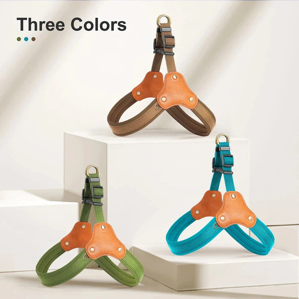 Durable, adjustable nylon dog harness with reflective trim, available in multiple colors for small, medium, and large dogs