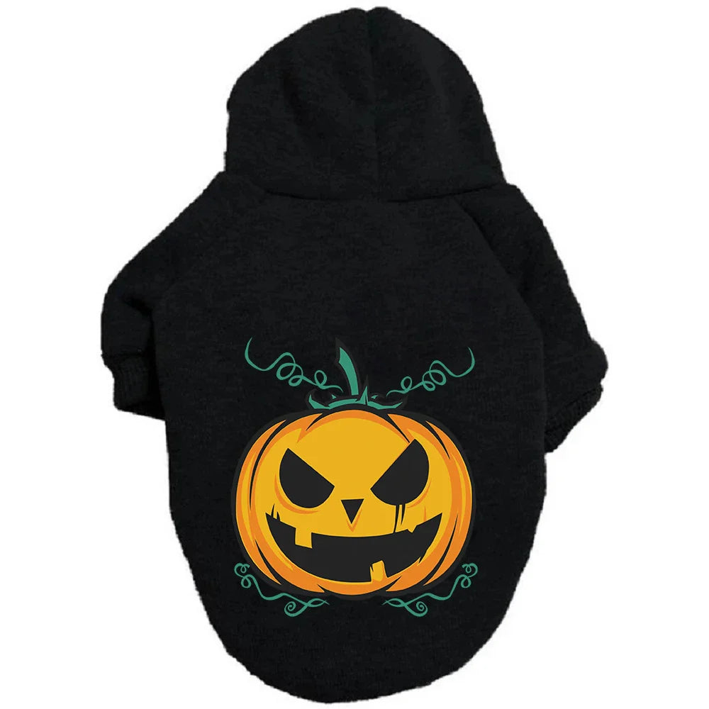 A cozy pumpkin-themed dog sweater in various vibrant colors, perfect for Halloween festivities.