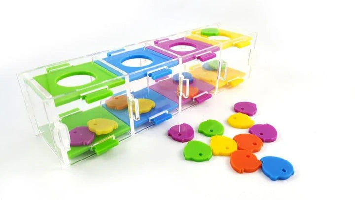 Intellectual Training Toy for Parrots: Engaging Color Puzzle and Brain Teaser to Promote Cognitive Development