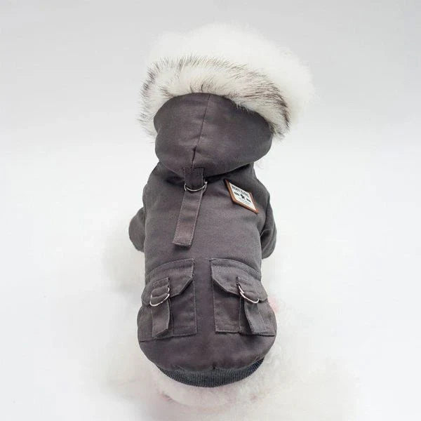 A close-up image of a small dog wearing a cozy and stylish cap-style dog coat in a neutral color.