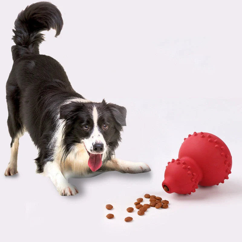 Interactive natural rubber dog toy for teeth grinding resistance, promotes dental health