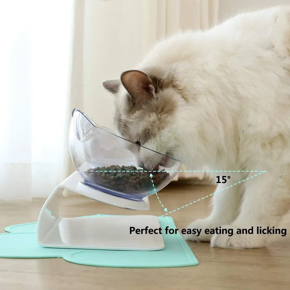 Elevated tilted double pet bowl with transparent design and adjustable stand