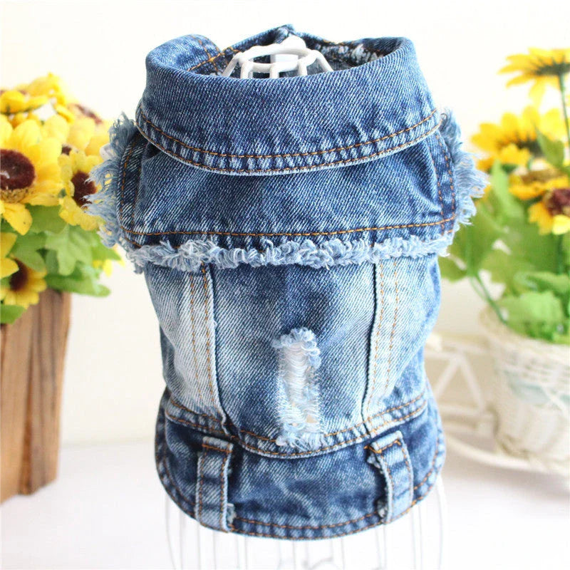 Stylish denim dog jacket with customizable options like hoods, fringes, and patterns for fashionable pet wear