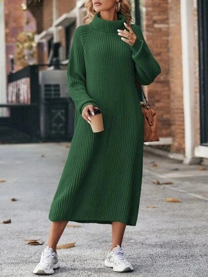 Cozy winter turtleneck knit dress for women in various colors
