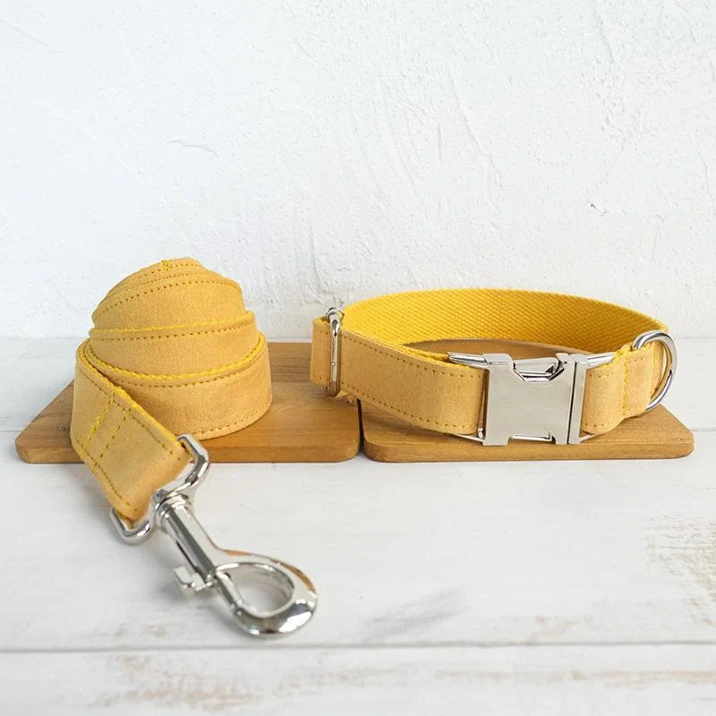 Nala bright yellow dog collar and leash set for safety and visibility