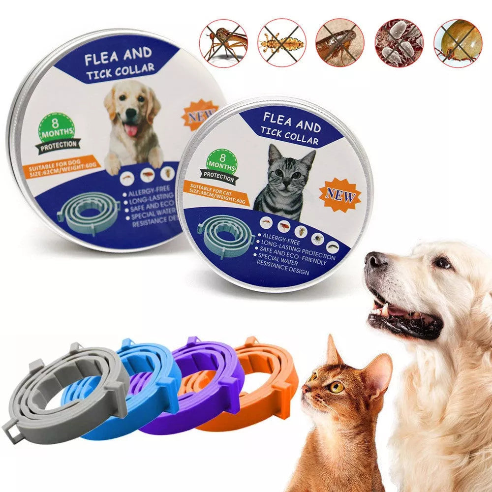 Adjustable silicone pet collar in various colors for flea and tick protection