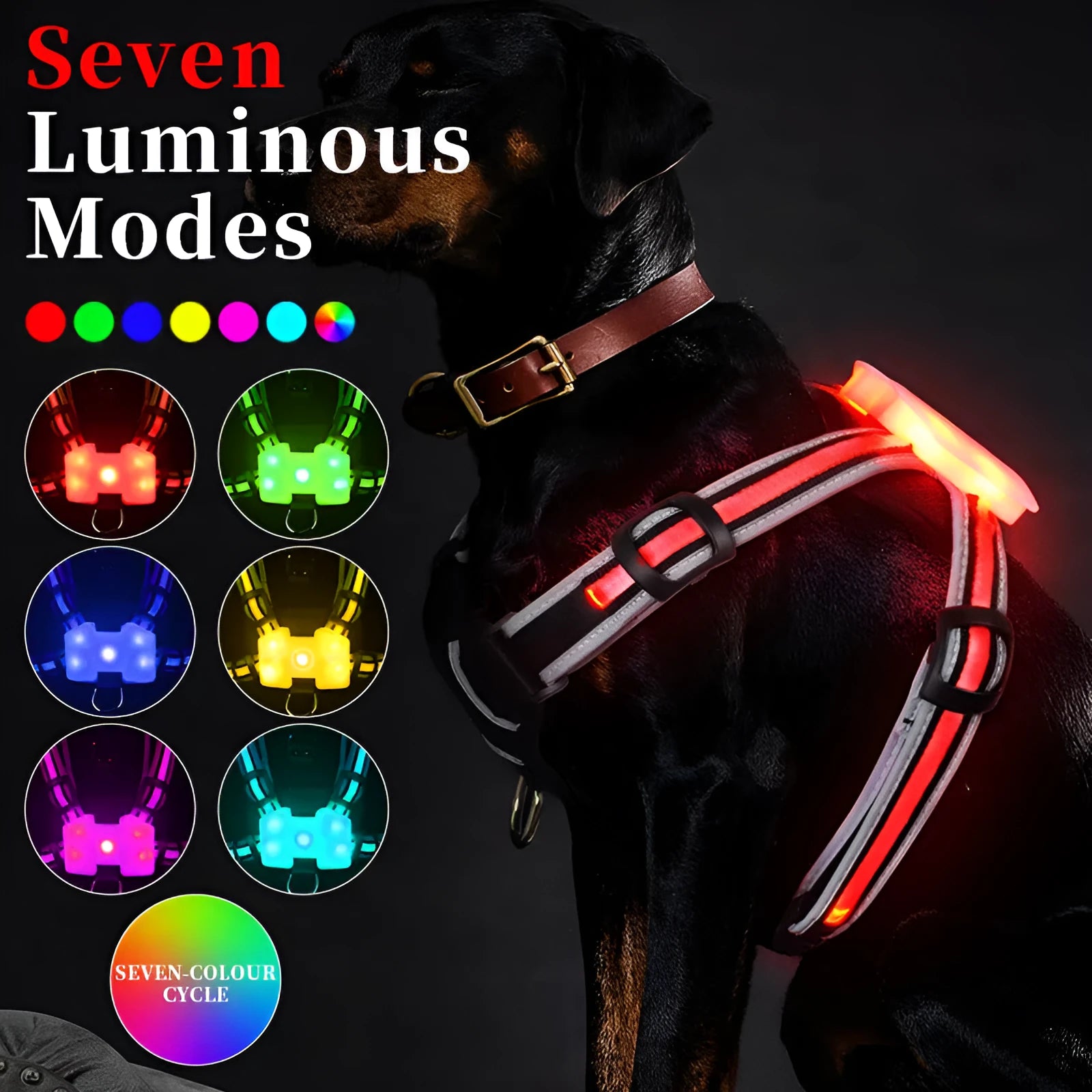 Nylon luminous dog leash with seven-colour LED strap and USB charging cable