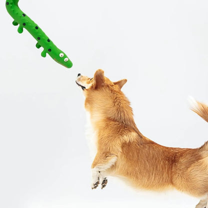 Green lizard-shaped dog chew toy with textured surface and squeaker, measuring 24cm long