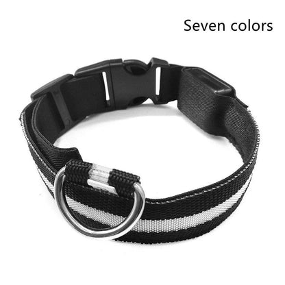 Nylon LED dog safety collar with illuminated fibre optic lights in blue colour, adjustable buckle, and waterproof construction