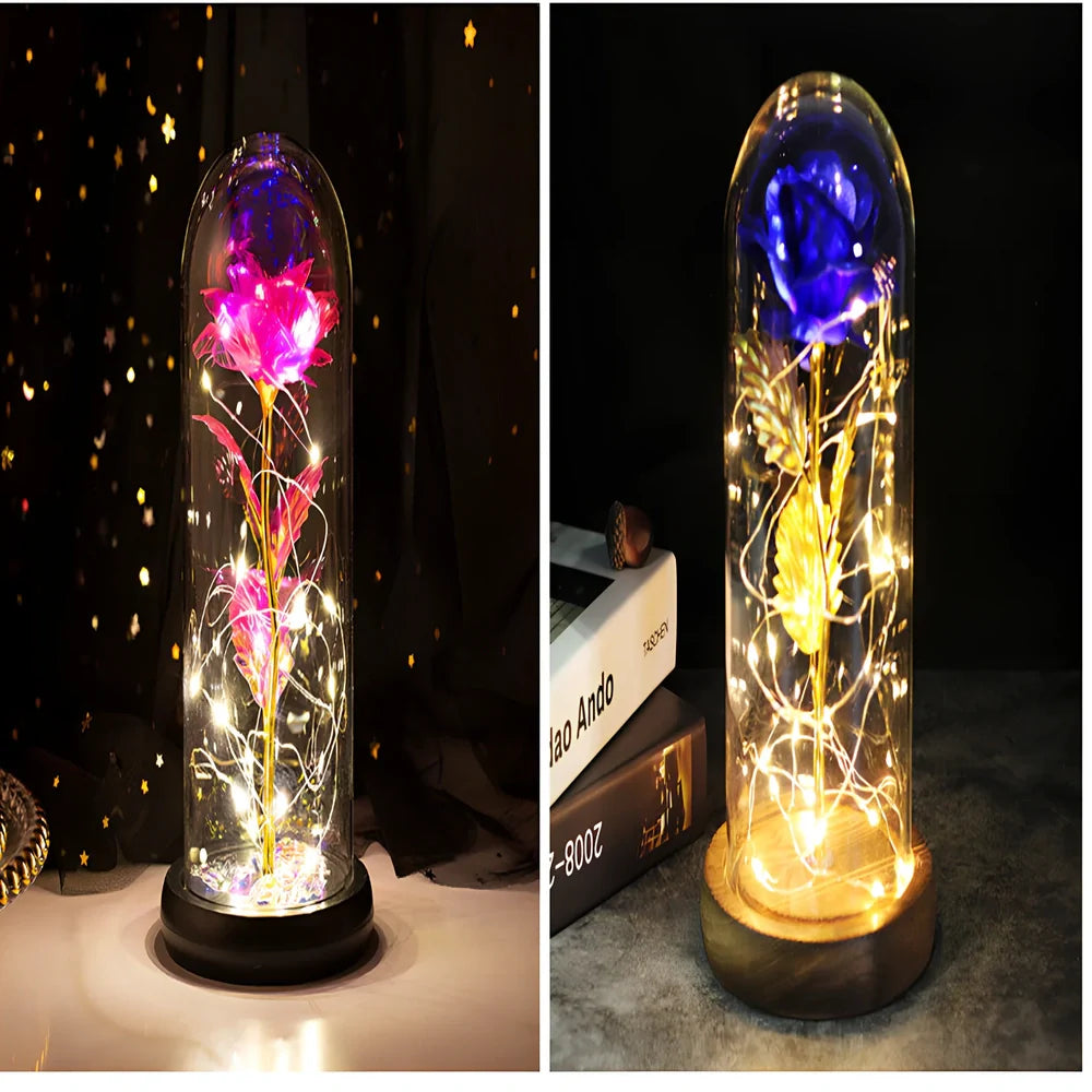 Little Prince rose arrangement under 20x9cm glass dome with gold foil flowers