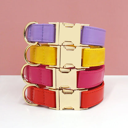 Velvet leather dog collar with colour block design showing buckle fastening in available colour options