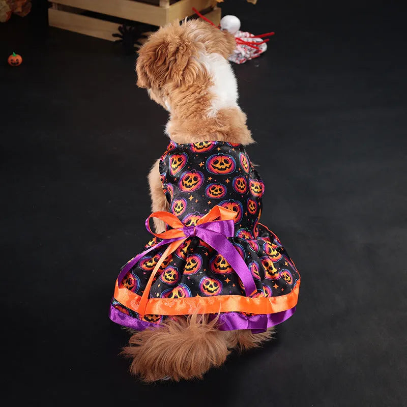 Halloween dog skirt in colourful pumpkin print, double-layer design, size medium on a dog.