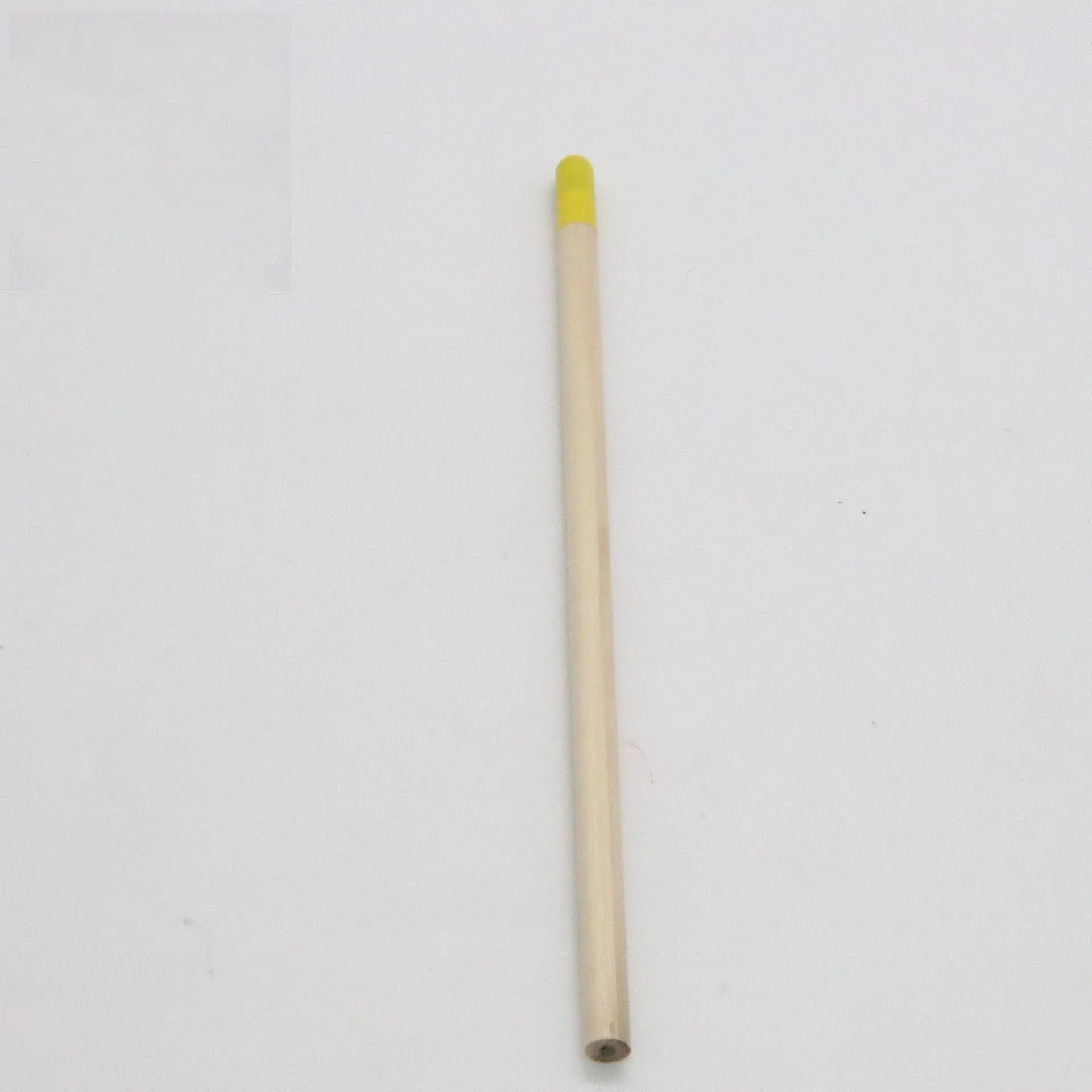 Seed pencil HB refill capsule in multiple colours containing plantable seeds