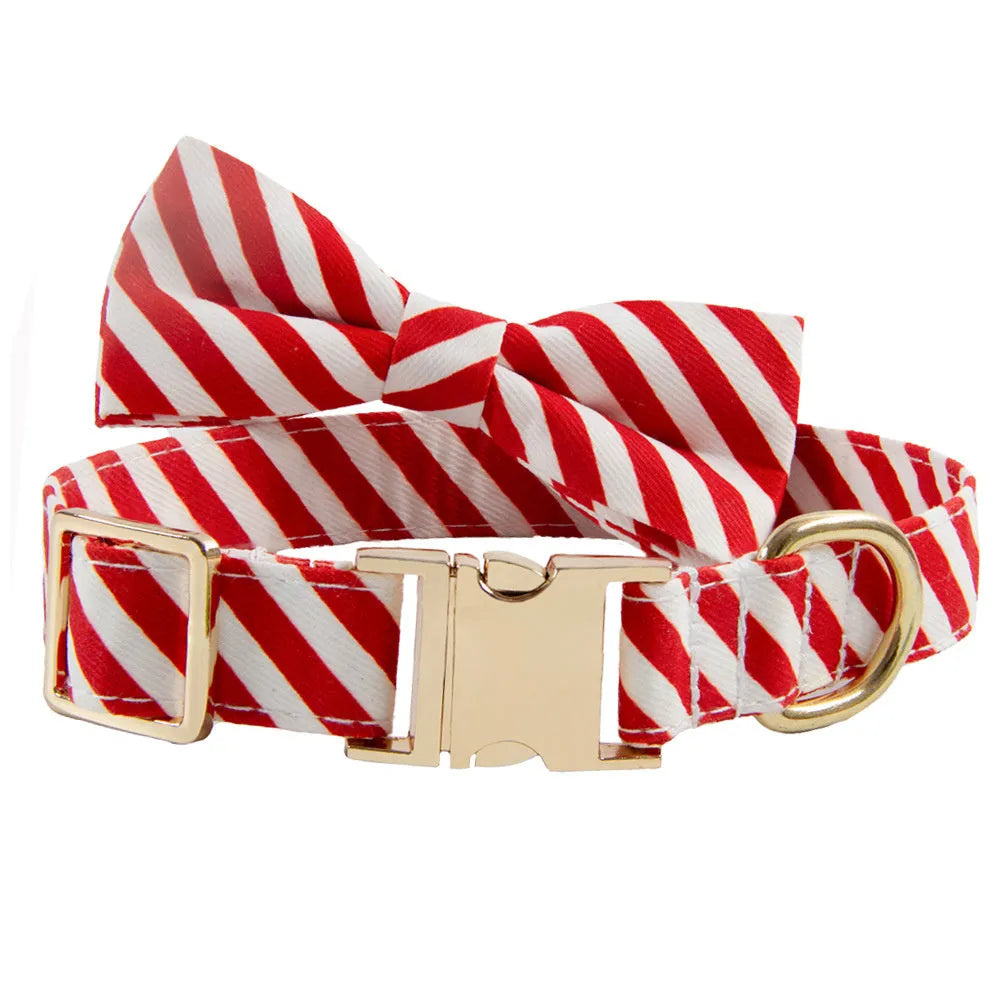 Striped green dog collar with decorative red bow knot showing custom engraving space for pet identification
