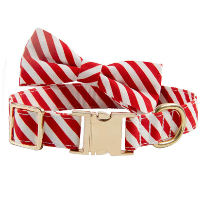 Striped green dog collar with decorative red bow knot showing custom engraving space for pet identification