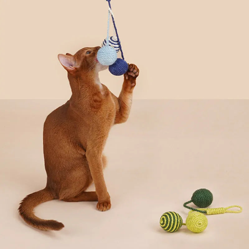 Cat toy set showing a colourful teaser stick and a bite-resistant catnip ball on a white background.