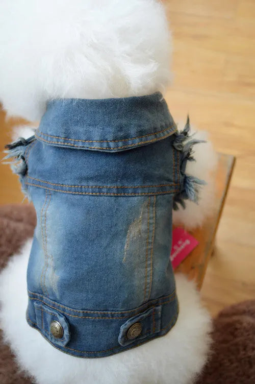 Dark denim dog vest with retro scratch pattern and button front closure on a small white dog.