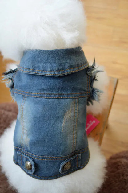 Dark denim dog vest with retro scratch pattern and button front closure on a small white dog.