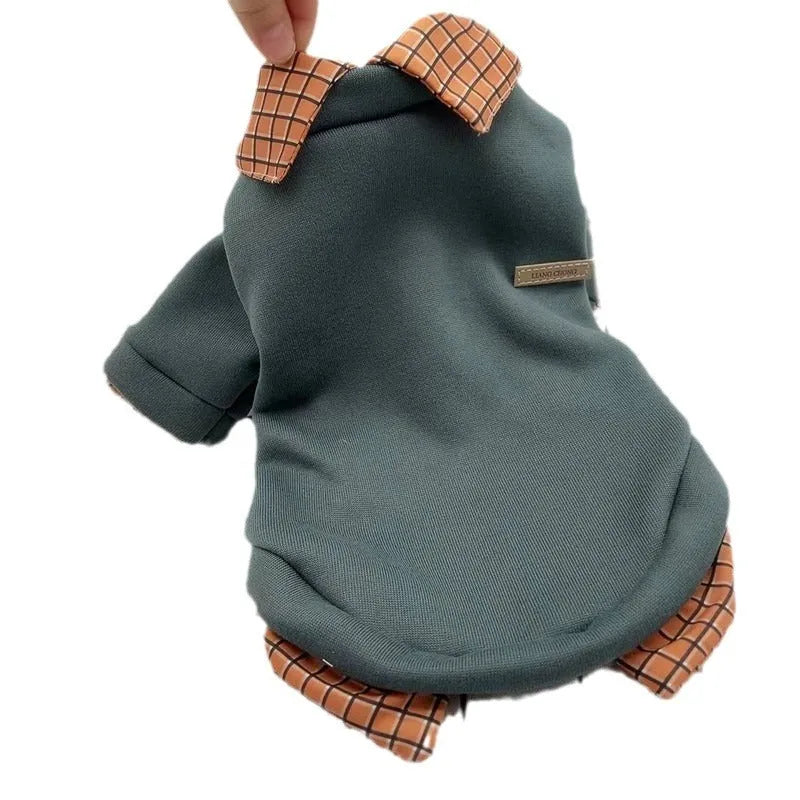 Grey dog wearing polyester velvet jumper with detachable hoodie collar