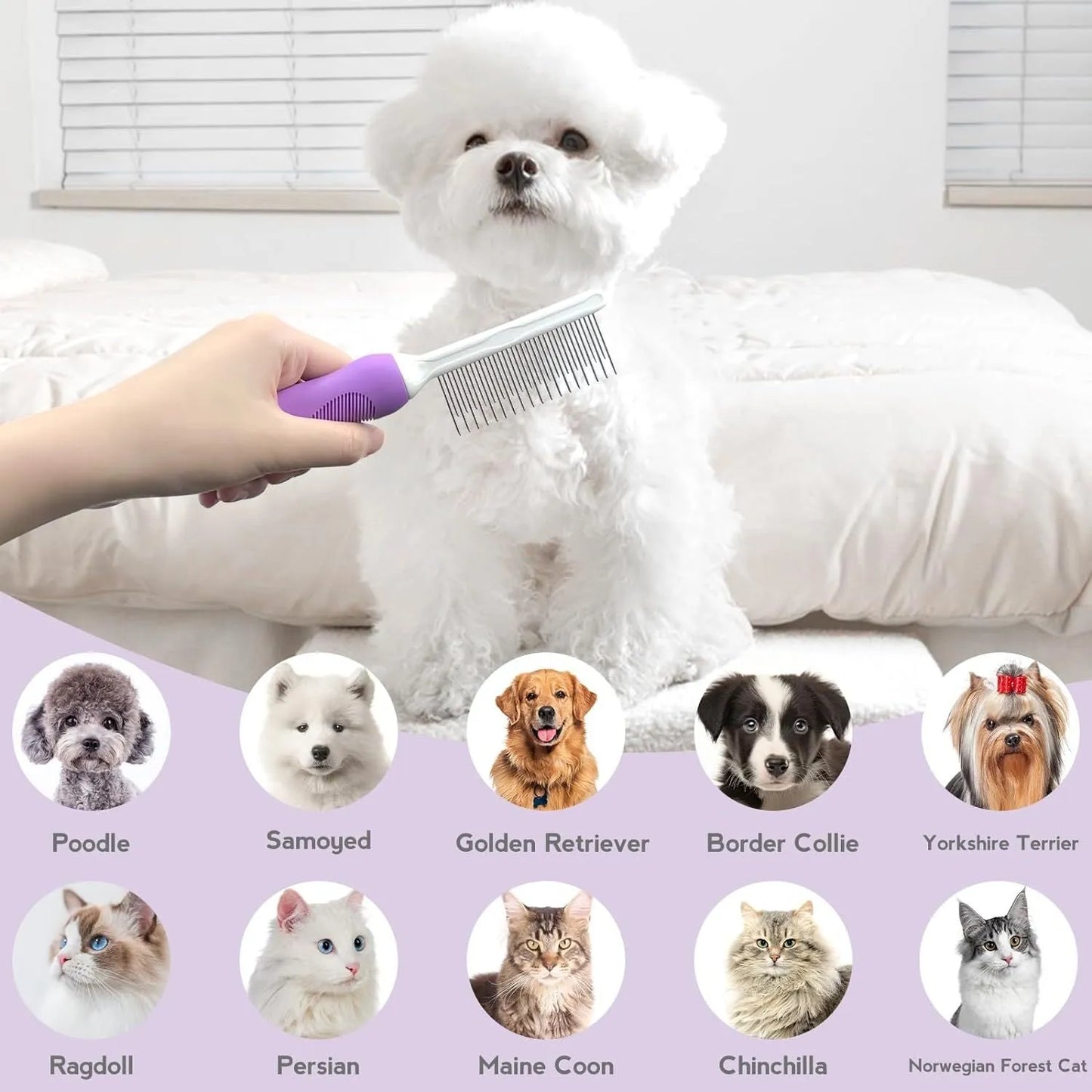 Purple detangling pet comb with stainless steel teeth for grooming dogs and cats, showing ergonomic handle.