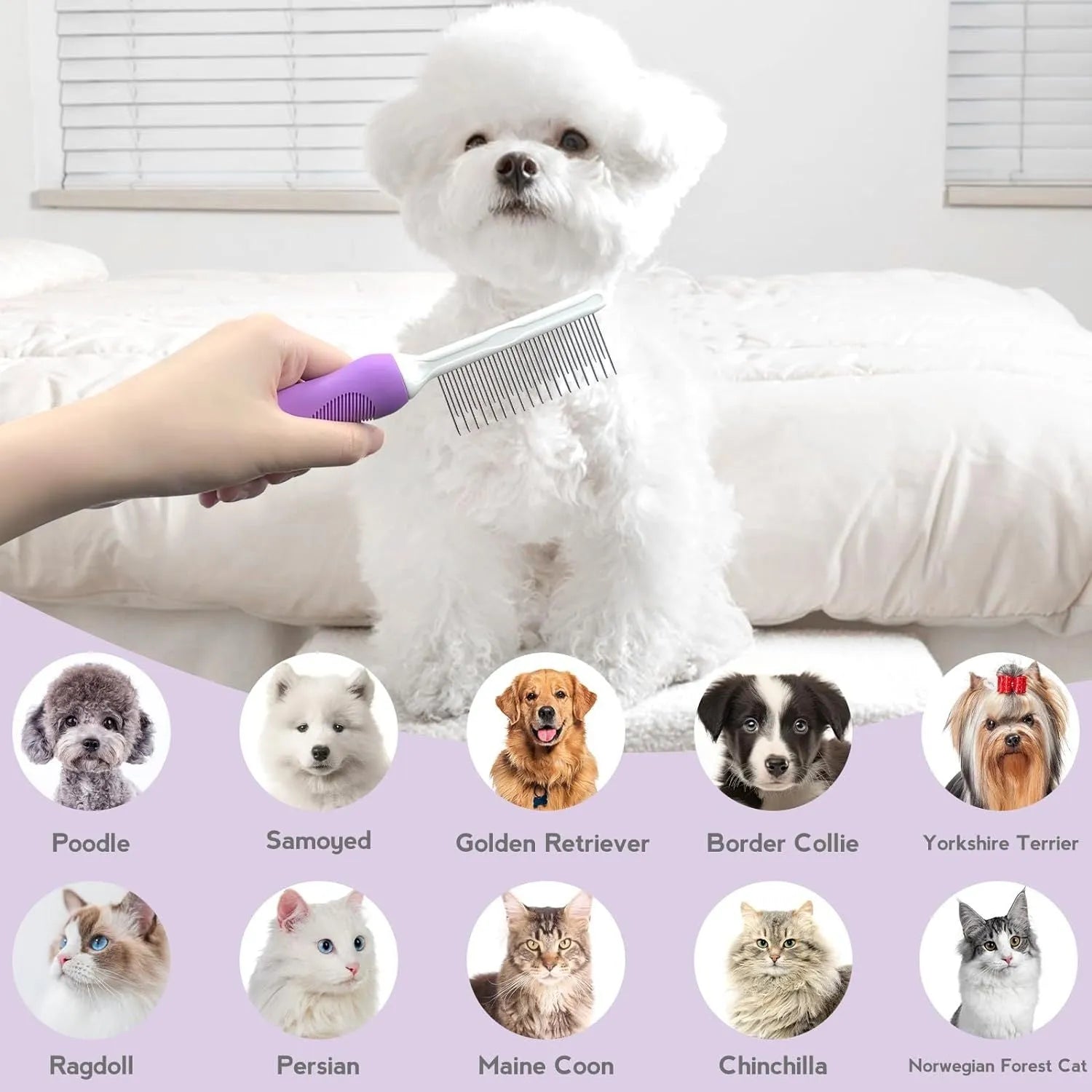 Purple detangling pet comb with stainless steel teeth for grooming dogs and cats, showing ergonomic handle.