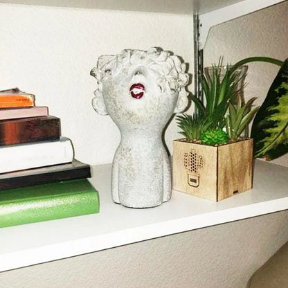 Resin garden faces flower pot in picture colour, S size 15x15x14cm with whimsical face modelling for outdoor decor