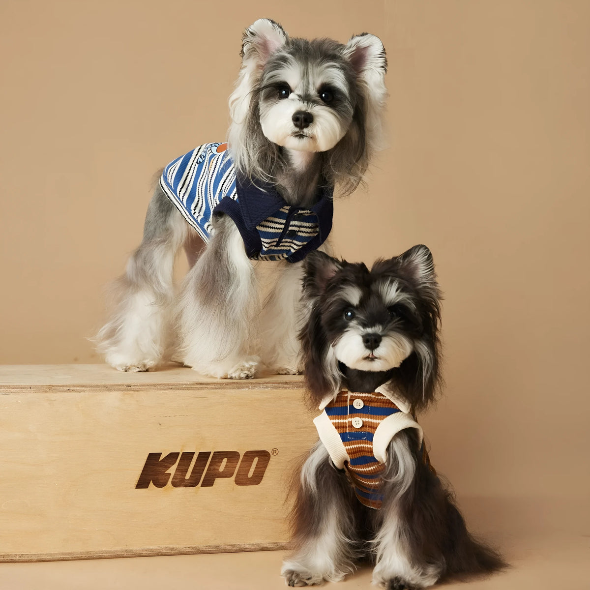 Tony Bear dog striped polo shirt in cotton, blue or brown, sizes XS to XXL, casual pet clothing