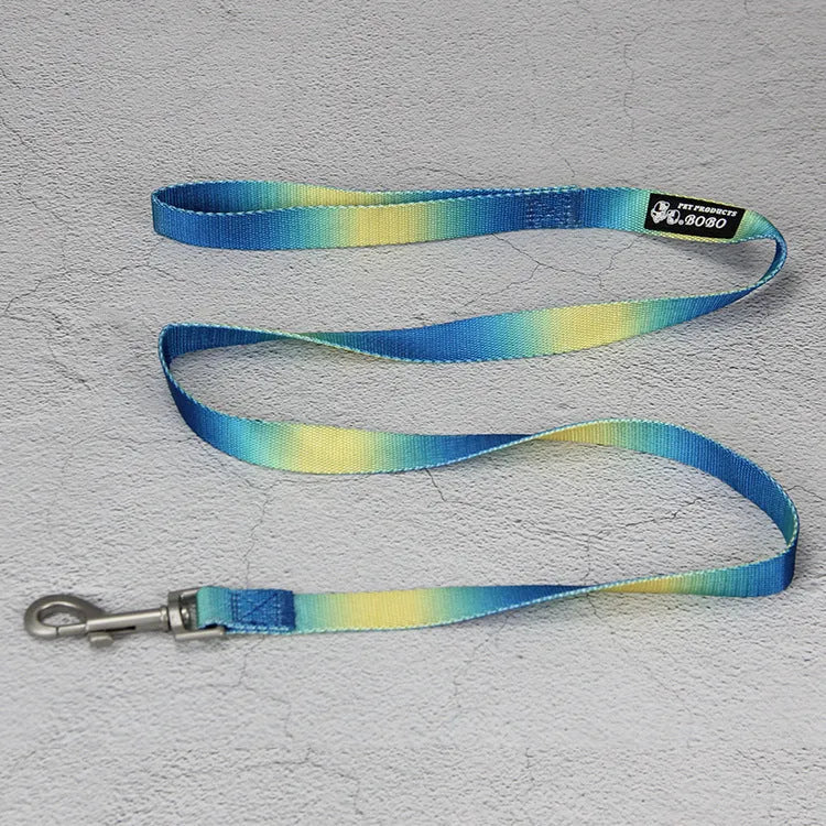 Gradient colour nylon dog leash showing pink-blue colour transition with metal attachment clip