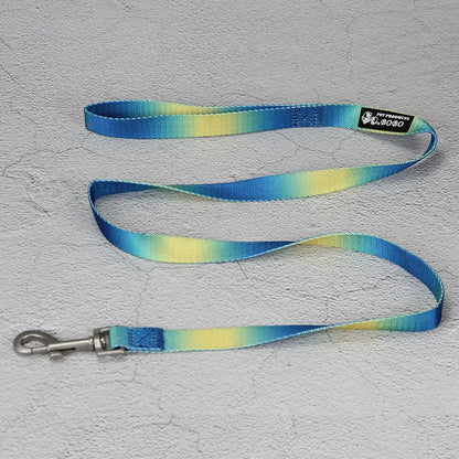 Gradient colour nylon dog leash showing pink-blue colour transition with metal attachment clip