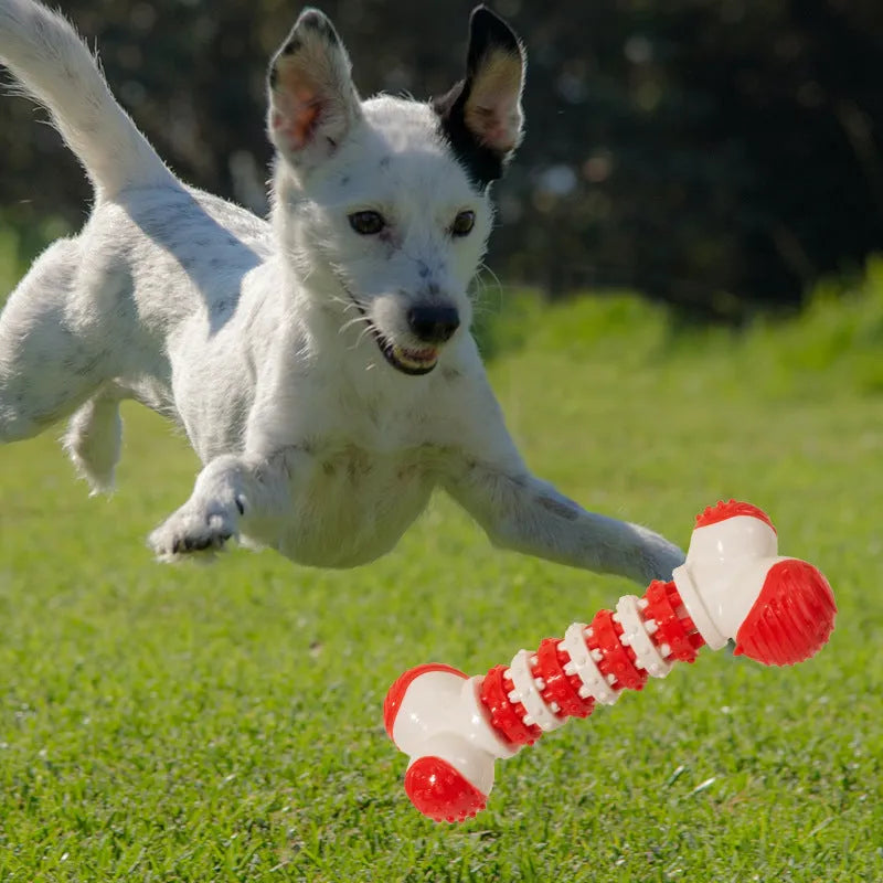 Bone-shaped interactive dog toy in blue, orange, or red for small breeds with treat holder
