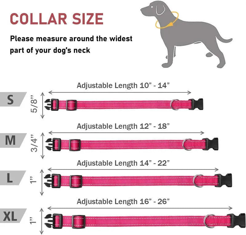 Adjustable nylon dog collar with chest strap in multiple colour options for secure walking