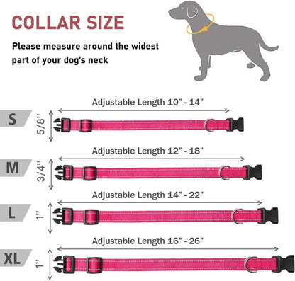Adjustable nylon dog collar with chest strap in multiple colour options for secure walking