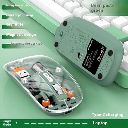 Transparent wireless computer mouse showing internal components with USB connection